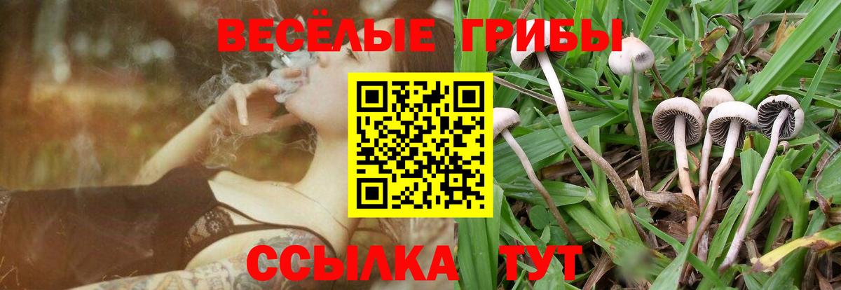 Галлюциногенные грибы MAGIC MUSHROOMS  где найти   Вход с VPN  Можга  Галлюциногенные грибы прущие грибы 