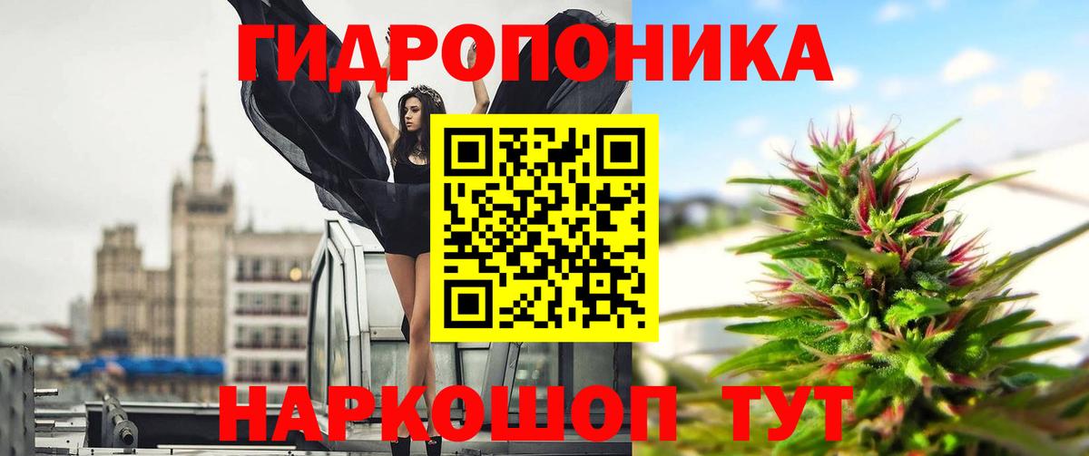 Марихуана конопля  Вход с VPN  МАРИХУАНА OG Kush  МАРИХУАНА семена  Можга 